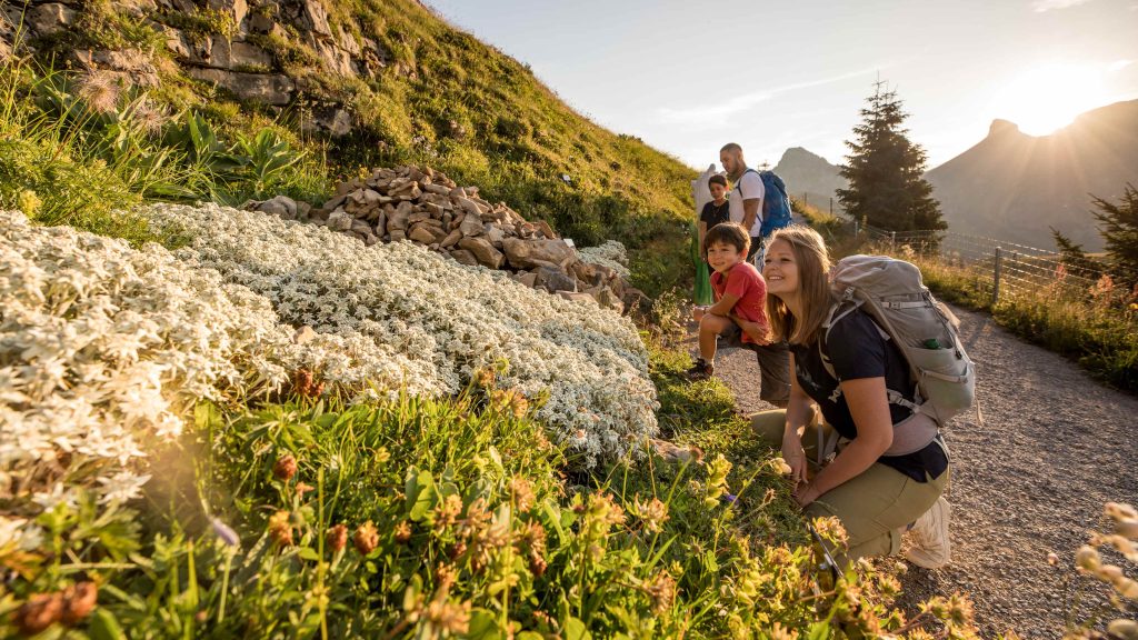 activité touristique pas chère pour voyager à petit prix
