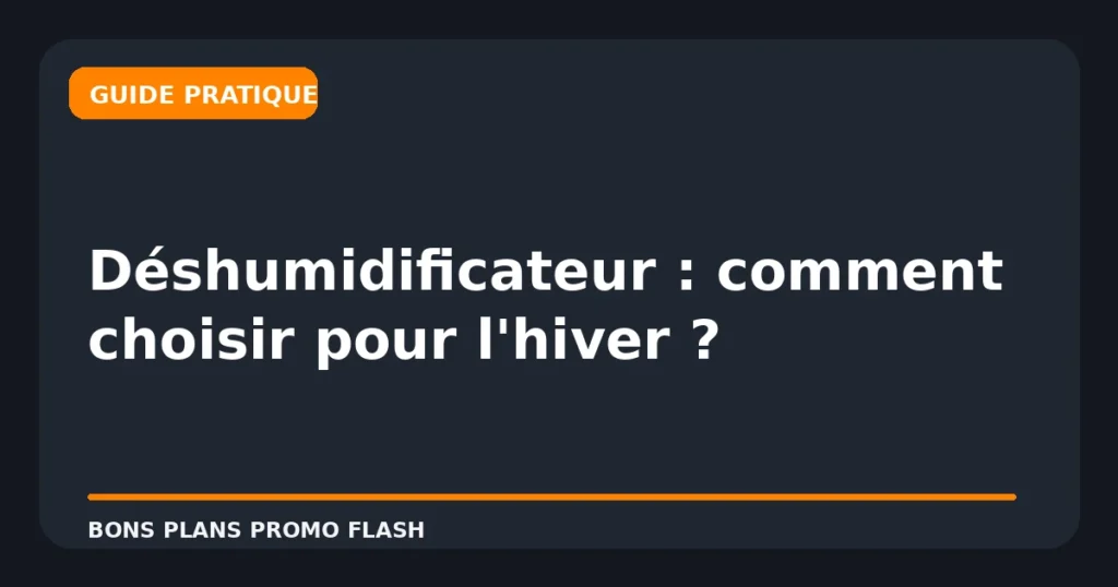 Déshumidificateur : comment choisir pour l'hiver ?